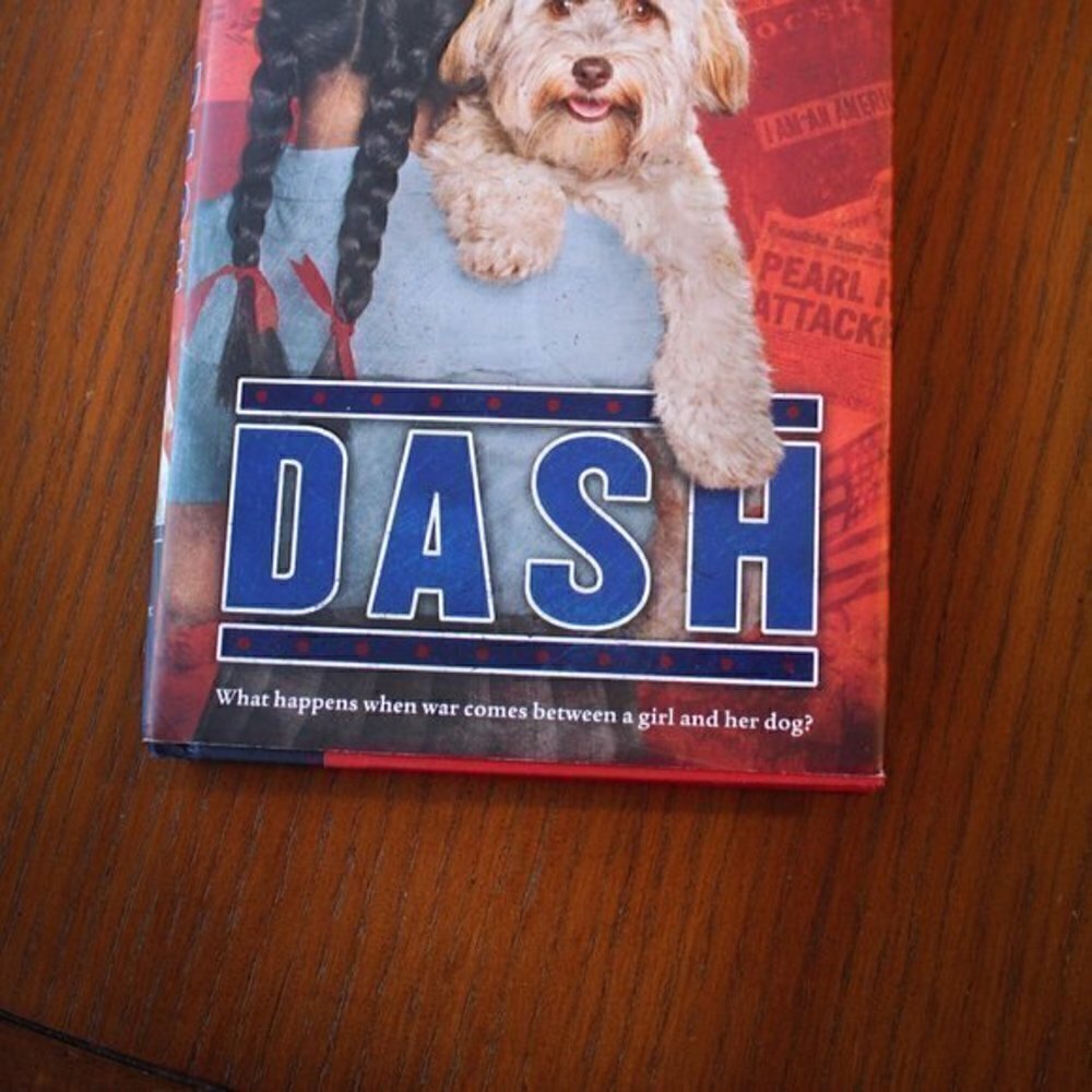 “Dash" & "Dork Diaries" books - Picture 8 of 10